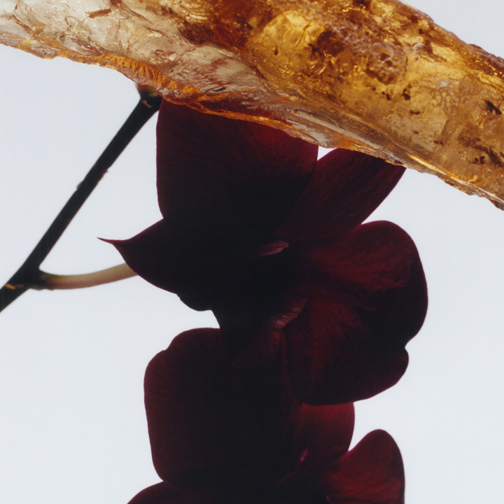 Dark Amber & Ginger Lily Cologne Intense