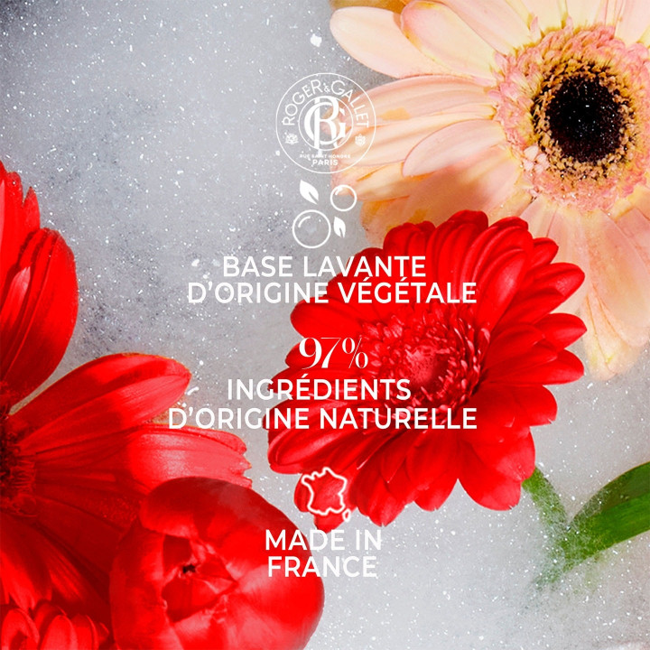 Gingembre Rouge Coffret 3 Savons Bienfaisants