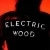 Electric Wood Extrait de Parfum