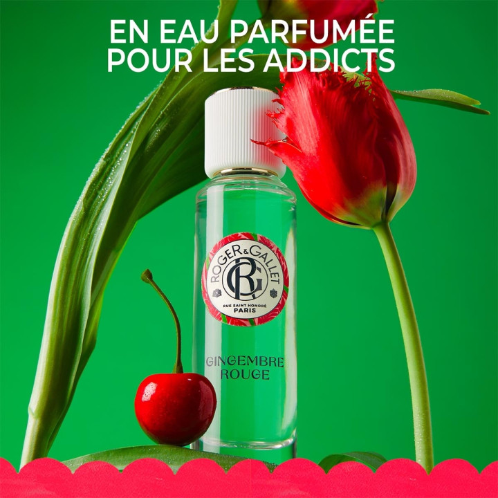 Gingembre Rouge Lait Corps Bienfaisant