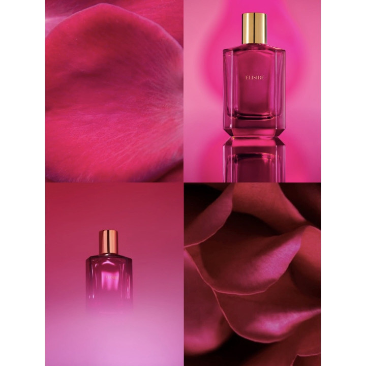 In Fabula Extrait de Parfum