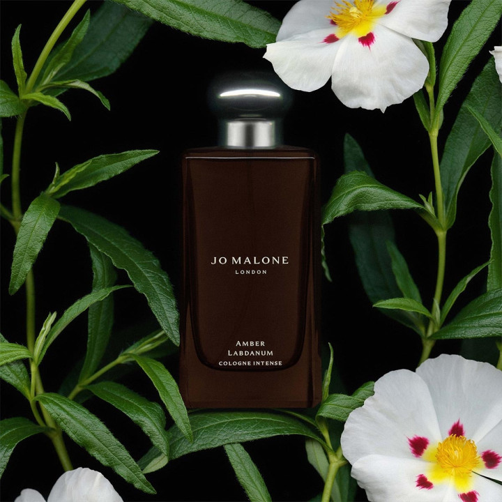 Amber Labdanum Cologne Intense