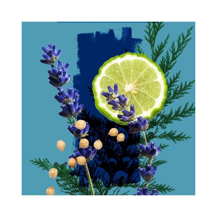 Undo Eau de Toilette