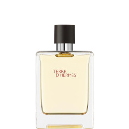 Terre d'Hermès Eau de Toilette 100 ml