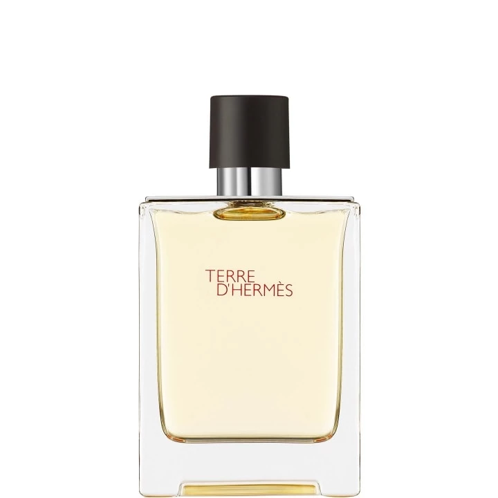 Terre d'Hermès Eau de Toilette 100 ml - HERMÈS - Incenza