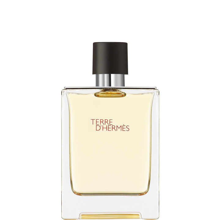 Terre d'Hermès Eau de Toilette 100 ml