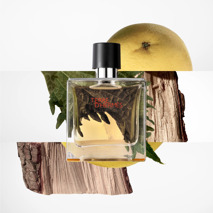 Terre d'Hermès Parfum