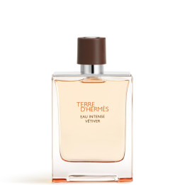 Terre d'Hermès  Eau Intense Vétiver - Eau de Parfum 100 ml