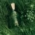 Wild Vetiver Eau de Parfum