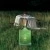 Wild Vetiver Eau de Parfum
