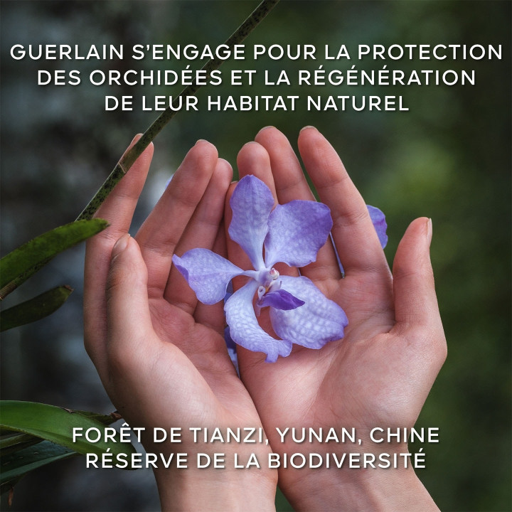 Orchidée Impériale La Crème Légère de Longévité