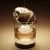 Tokyo Nights Eau de Parfum
