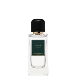Ginger Eau de Parfum 100 ml