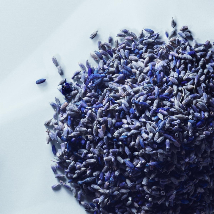 Metal Lavender Eau de Parfum