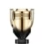 Invictus Élixir Parfum 100 ml 