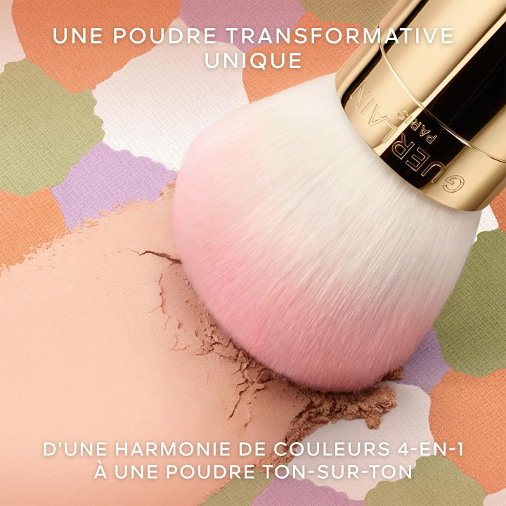 Météorites Compact Poudre Compacte Matifiante et Fixante