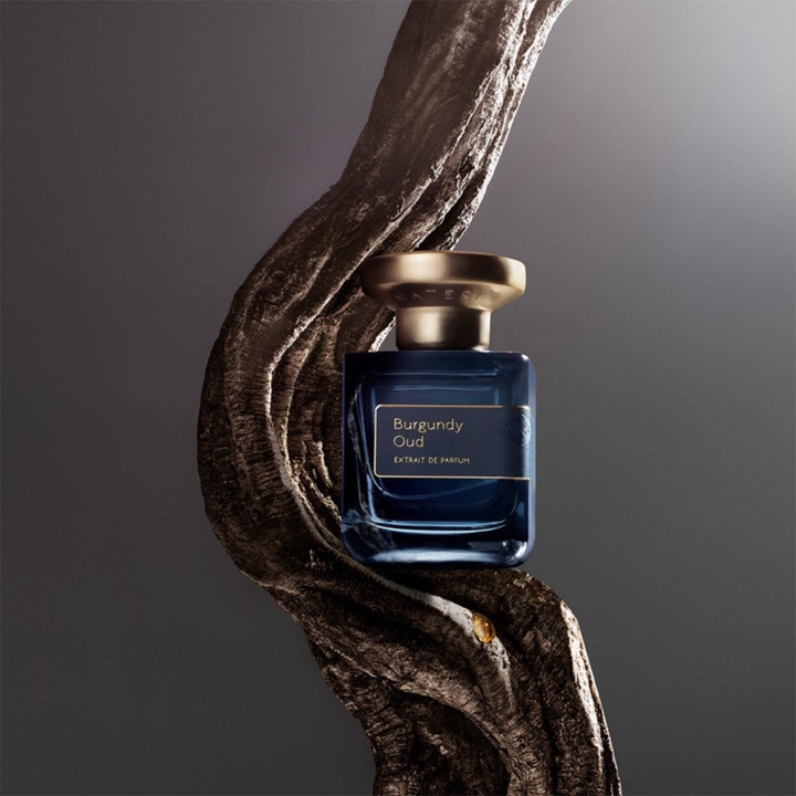 Burgundy Oud Extrait de Parfum