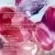 KissKiss Bee Glow Plump Soin Repulpant Teinté