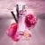 Starlicious Berry Licorice Eau de Toilette Gourmande