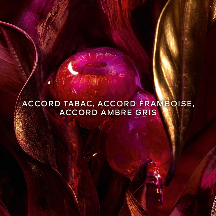 Absolus Allegoria Tabac Sahara Eau de Parfum