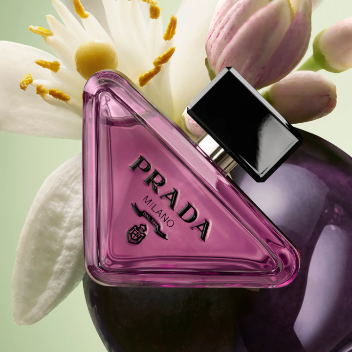 PARAD.SW.CHEMISTRY VAPO       90 ML