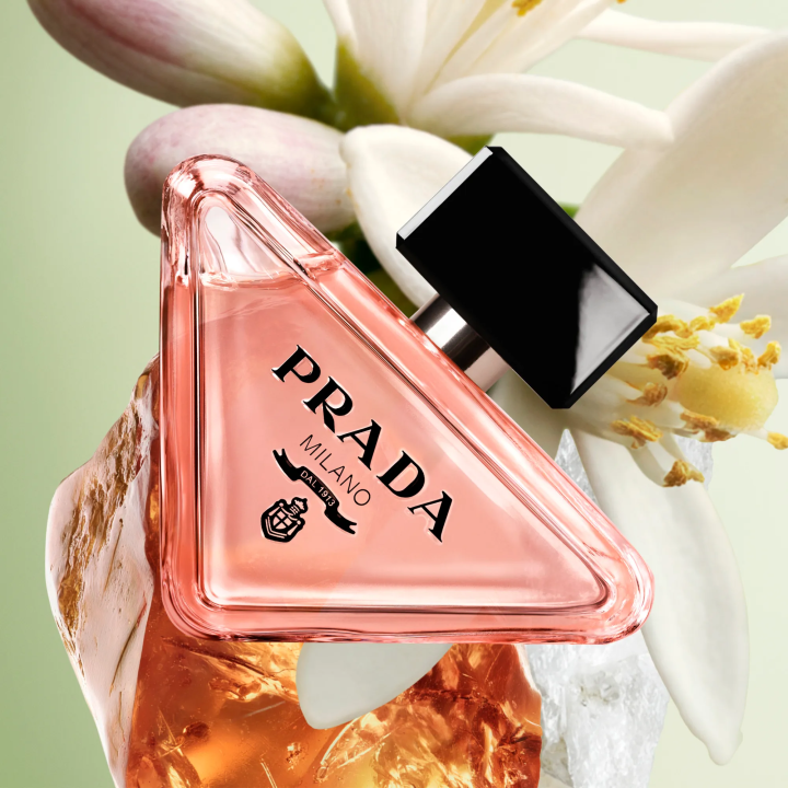 Prada Paradoxe