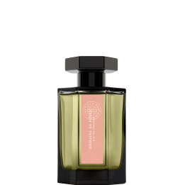MEMOIRE D.ROSE EDT 100 ML