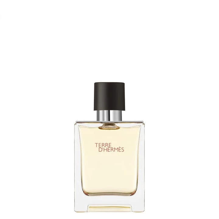 Terre d'Hermès Eau de Toilette - HERMÈS - Incenza