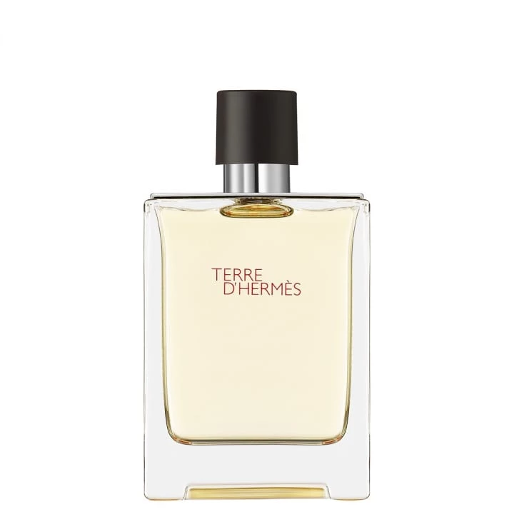 Terre d'Hermès Eau de Toilette - HERMÈS - Incenza