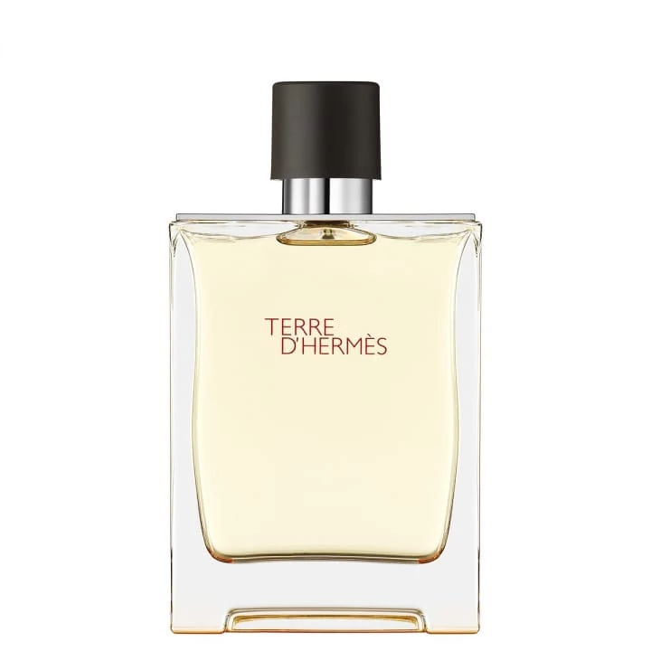 Terre d'Hermès Eau de Toilette - HERMÈS - Incenza