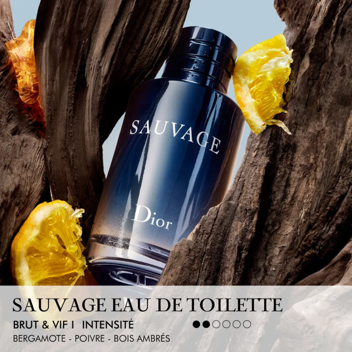 Sauvage Eau de Toilette - Format Nomade