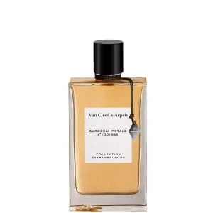 les différentes senteurs de parfums