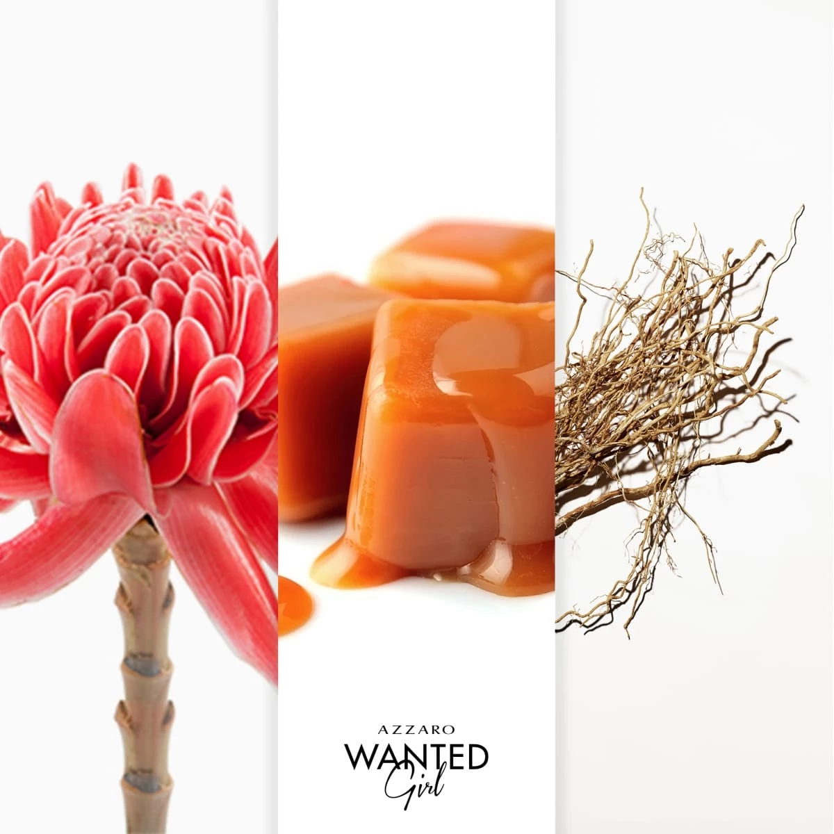 Azzaro Wanted Girl Eau de Parfum Incenza