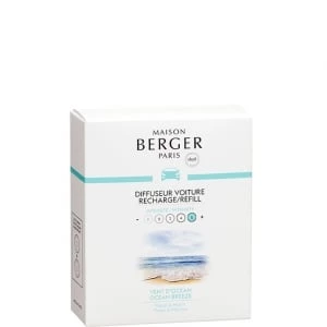 Bouquet parfumé Cube - Anti-odeur tabac frais et aromatique - 125 ml -  Maison Berger Paris