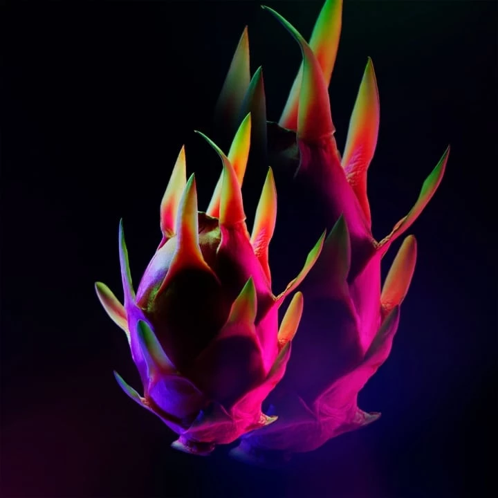 Black Opium de YVES SAINT LAURENT Eau de Parfum Neon Incenza