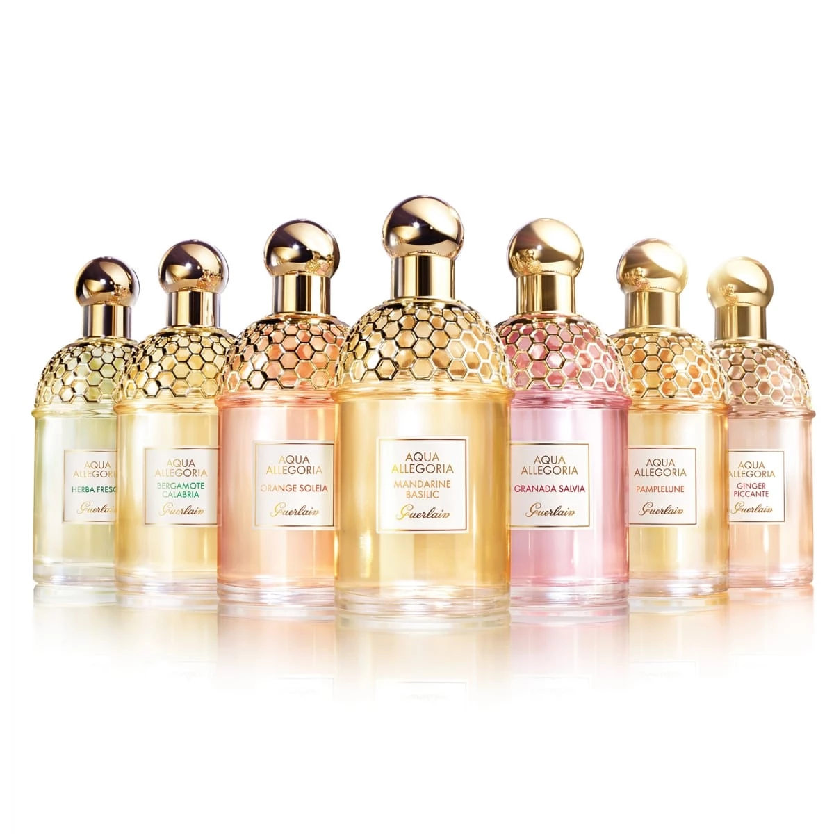 Aqua Allegoria Orange Soleia de GUERLAIN Eau de Toilette Incenza