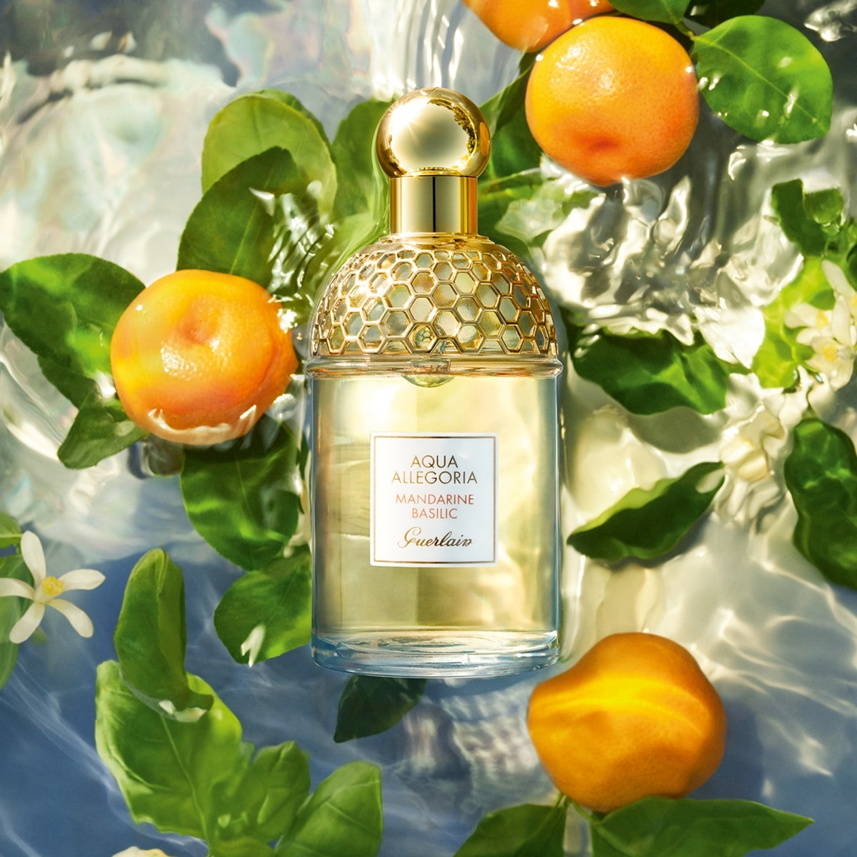 Guerlain Aqua Allegoria Mandarine Basilic Notes Orientales