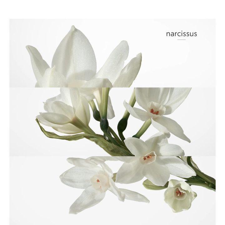 H24 Eau de Toilette