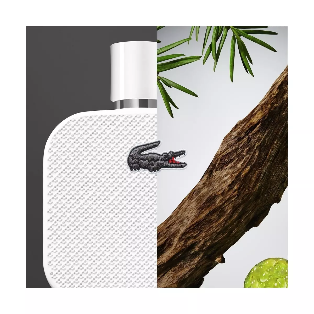 L12.12 Blanc de Lacoste Eau de Parfum Incenza
