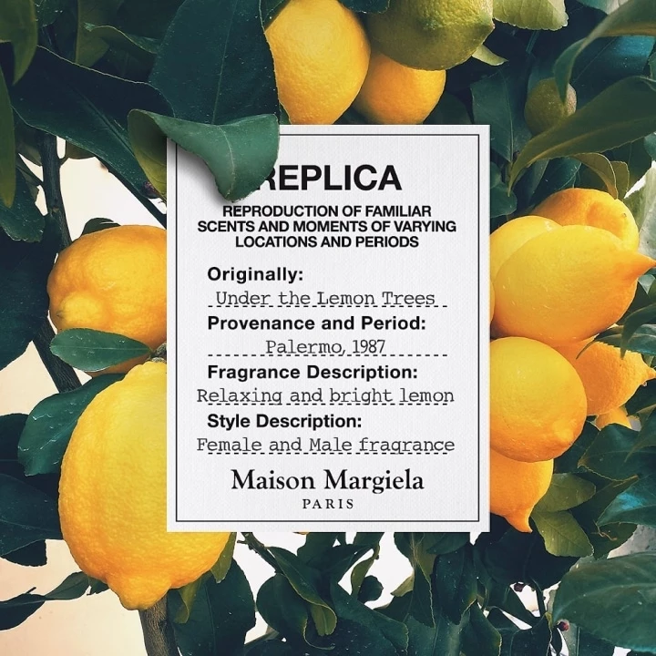 REPLICA Under The Lemon Trees de Maison Margiela Eau de Toilette Incenza