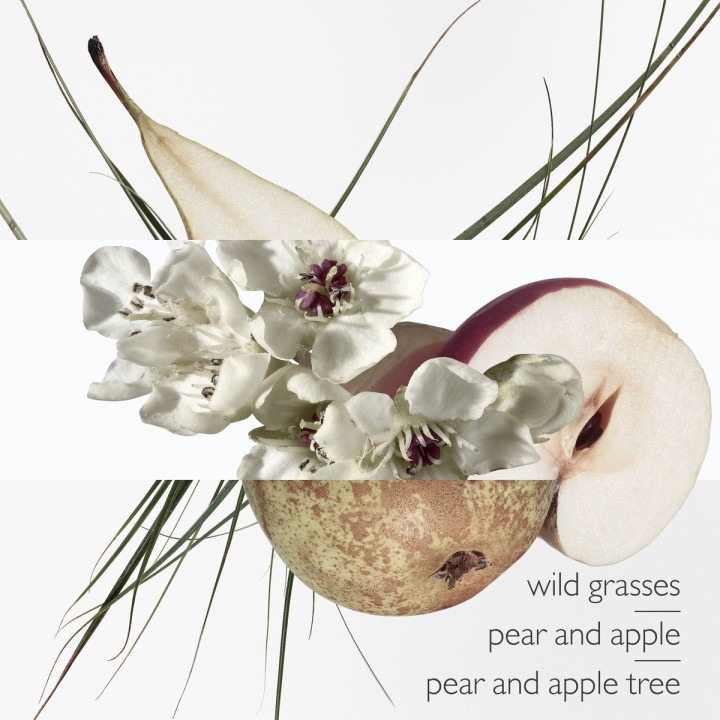 Un Jardin Sur le Toit Eau de Toilette