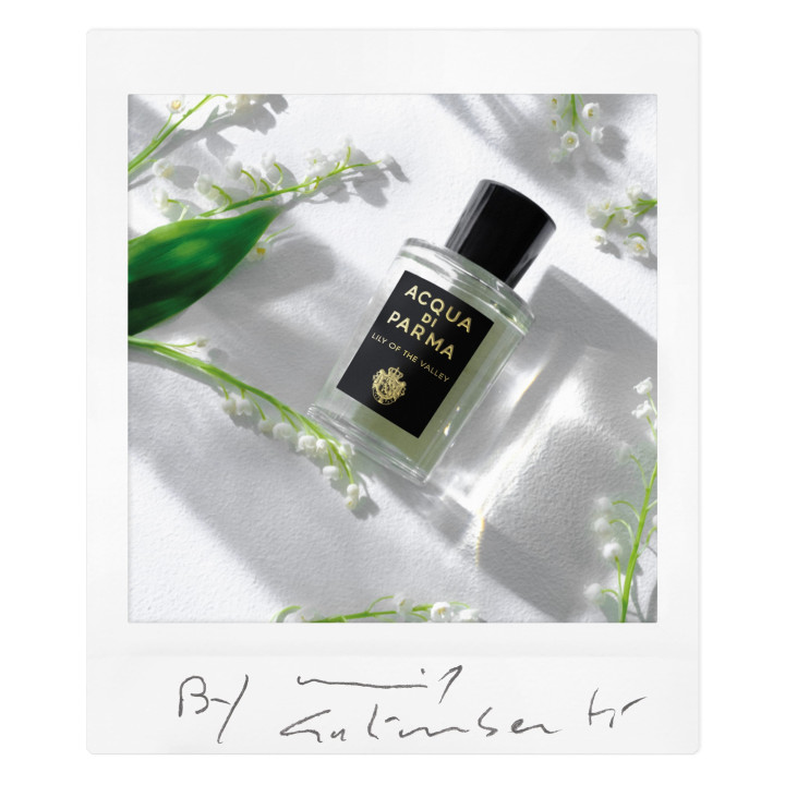 Lily of the Valley 