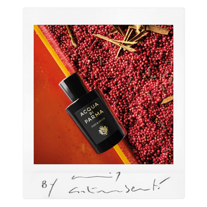 Oud & Spice  Eau de Parfum