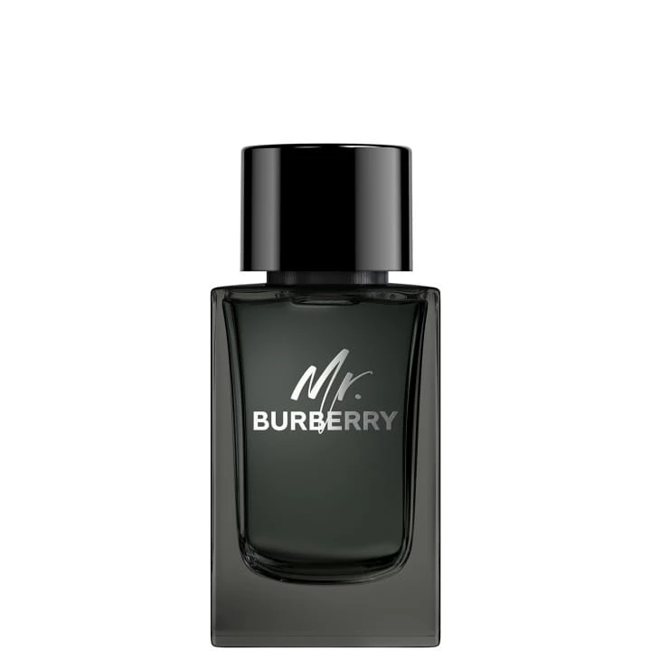 Mr. Burberry Eau de Parfum - Burberry - Incenza