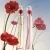 Flower By Kenzo Poppy Bouquet Eau de Parfum Florale