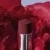 Rouge Dior Forever Rouge à lèvres sans transfert - Mat ultra-pigmenté - 883 Forever Daring