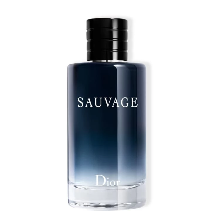 Sauvage Eau de Toilette 100 ml - DIOR - Incenza