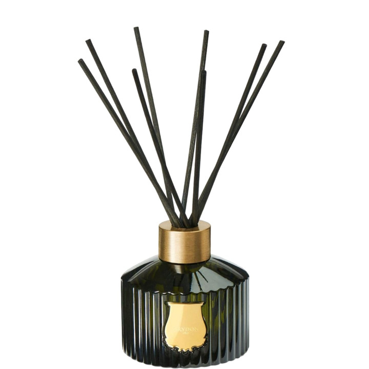 Gabriel Diffuseur d'Ambiance
