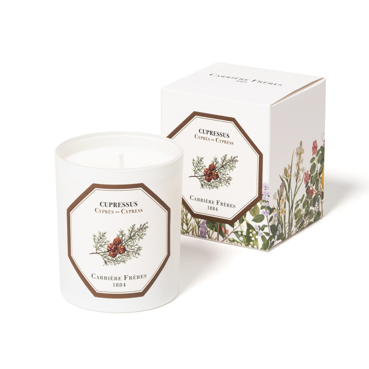 Cyprès - Cupressus Bougie Parfumée