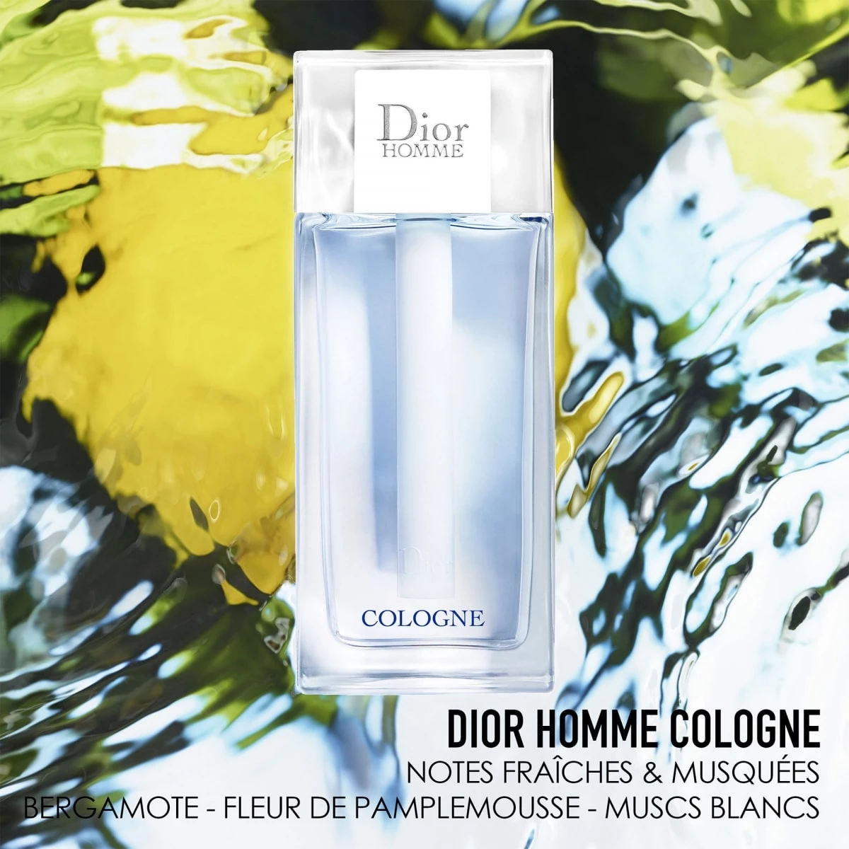 Dior Homme Cologne Eau de Cologne Notes Fraîches & Musquées Incenza